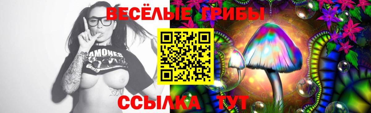 Темрюк  Галлюциногенные грибы Psilocybine cubensis  Вход с VPN  Галлюциногенные грибы GOLDEN TEACHER 